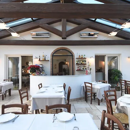 Marta * تشيزينا