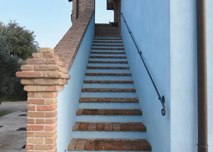 Marta * تشيزينا