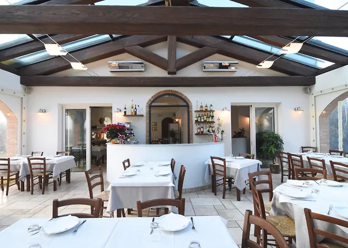 Marta * تشيزينا